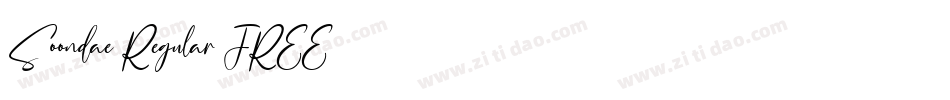 Soondae Regular FREE字体转换